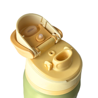 Insulated Drink Bottle - Sage Green